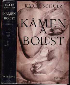 Kámen a bolest : Michelangelovy kresby