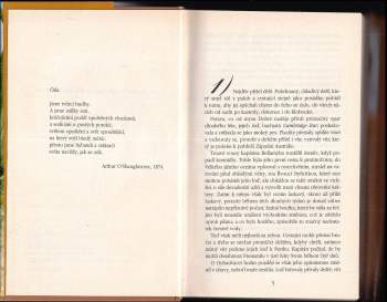 Patricia Shaw: Kámen a pírko