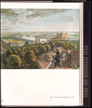 Ladislav Šášky: Kamenná krása našich miest