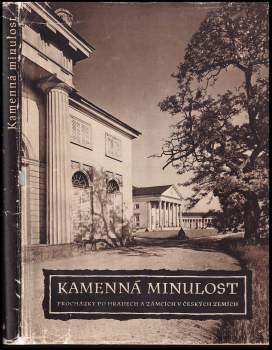 Kamenná minulost