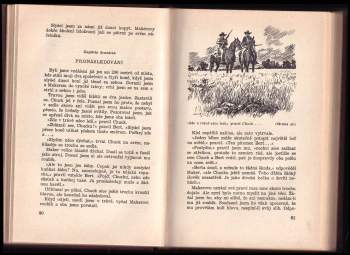 Max Brand: Kamenná tvář