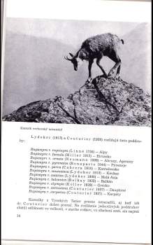 Milíč Blahout: Kamzíčia zver