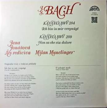 Johann Sebastian Bach: Kantáta BWV 204 Ich Bin In Mir Vergnügt / Kantáta BWV 209 Non Sa Che Sia Dolore
