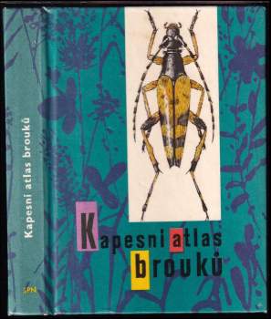 Kapesní atlas brouků s určovacím klíčem vyobrazených druhů
