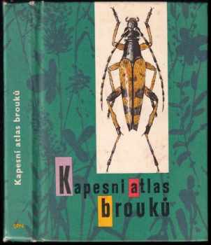 Kapesní atlas brouků s určovacím klíčem vyobrazených druhů