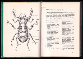 Vladimír Javorek: Kapesní atlas brouků s určovacím klíčem vyobrazených druhů