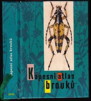 Kapesní atlas brouků s určovacím klíčem vyobrazených druhů