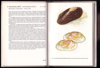 Pavel Pecina: Kapesní atlas chráněných a ohrožených živočichů