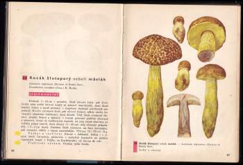 Albert Pilát: Kapesní atlas hub