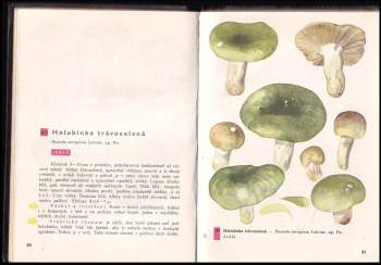 Albert Pilát: Kapesní atlas hub