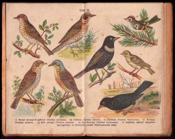 Kapesní atlas pěvců