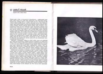 Miroslav Bouchner: Kapesní atlas ptáků