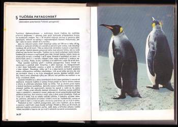 Miroslav Bouchner: Kapesní atlas ptáků
