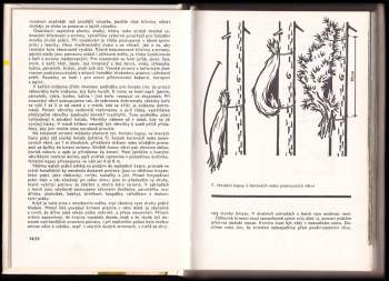 Miroslav Bouchner: Kapesní atlas ptáků
