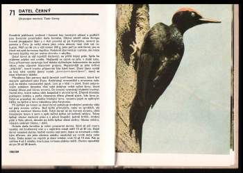 Miroslav Bouchner: Kapesní atlas ptáků