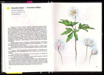 Albert Pilát: Kapesní atlas rostlin