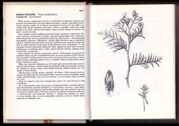 Marie Lhotská: Kapesní atlas semen, plodů a klíčních rostlin