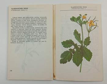 Ludmila Černá: Kapesní herbář léčivých rostlin