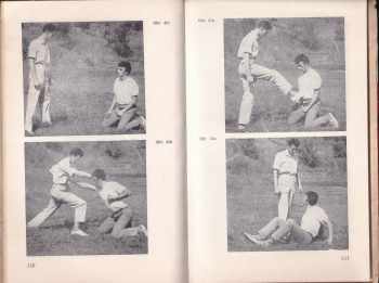 Jindřich Novák: Kapitoly o sebeobraně