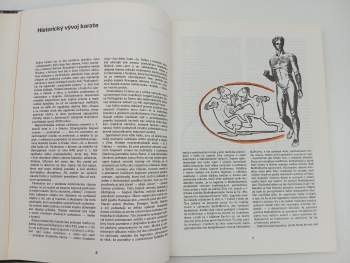 František Šebej: Karate