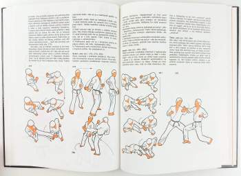 František Šebej: Karate