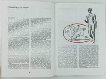 František Šebej: Karate