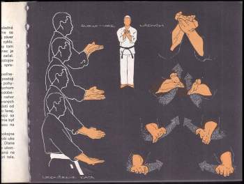 František Šebej: Karate kata