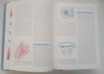 Michael Aschermann: Kardiologie