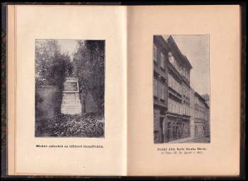 Jan Voborník: Karel Hynek Mácha