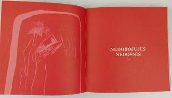 Karel Kapoun: Karel Kapoun