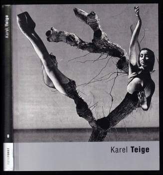 Karel Teige