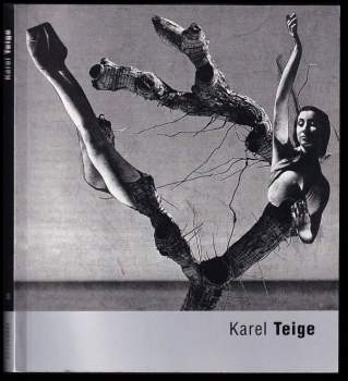 Karel Teige