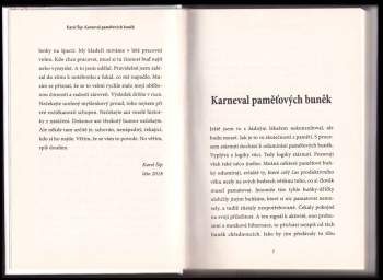 Karel Šíp: Karneval paměťových buněk