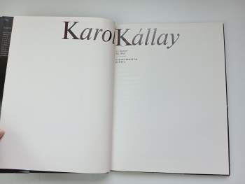 Ľudovít Hlaváč: Karol Kállay