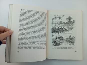 František Vodička: Karpatský jelen a jeho rod