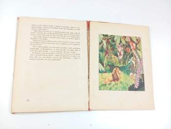 Bohumil Schweigstill: Kašpárkovy rolničky