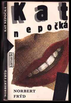 Kat nepočká - Norbert Frýd (1990, Práce) - ID: 350873