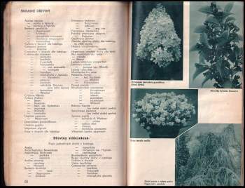Katalog Koniferové školky Žehušice u Čáslavě