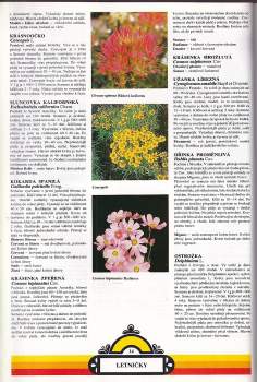 Katalog květin - Obchod semeny a zahradnickými potřebami