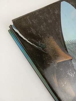 Jiří Burian: Katedrála sv. Víta na Pražském hradě