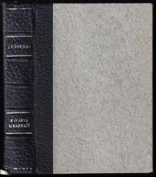 Kavárna u nádraží : 1 - I. část staropražské trilogie "Josefa a Josefina" : (1808-1847) - Jaromír Václav Šmejkal, J. V Šmejkal (1941, J. Otto) - ID: 740032