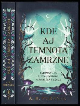 Kde aj temnota zamrzne