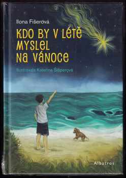 Kdo by v létě myslel na Vánoce