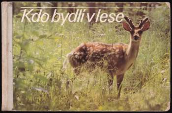 Kdo bydlí v lese