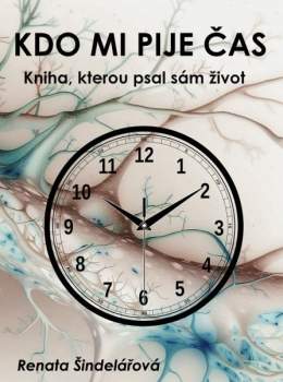 Kdo mi pije čas