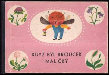 Když byl Brouček maličký