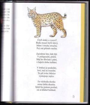 Martin Vobruba: Když má panda dovolenou