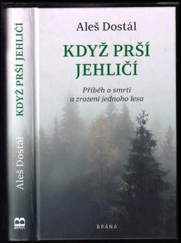 Když prší jehličí : příběh o smrti a zrození jednoho lesa