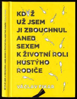 Když už jsem ji zbouchnul, aneb, Sexem k životní roli hustýho rodiče