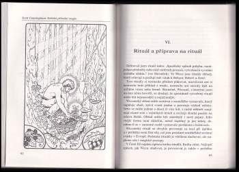 Scott Cunningham: Keltská přírodní magie